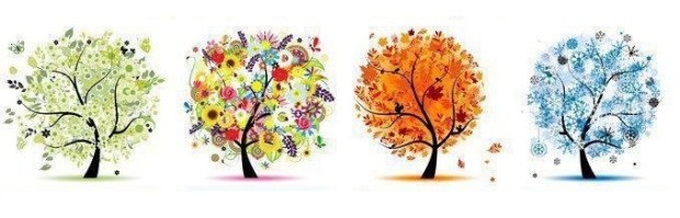 cicli stagionali orto